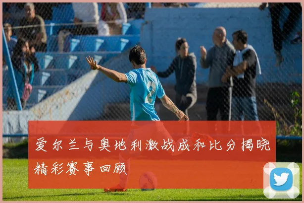 爱尔兰与奥地利激战成和比分揭晓精彩赛事回顾