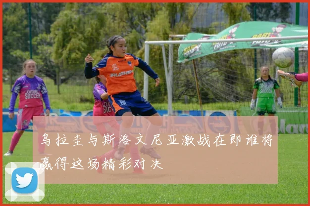 乌拉圭与斯洛文尼亚激战在即谁将赢得这场精彩对决