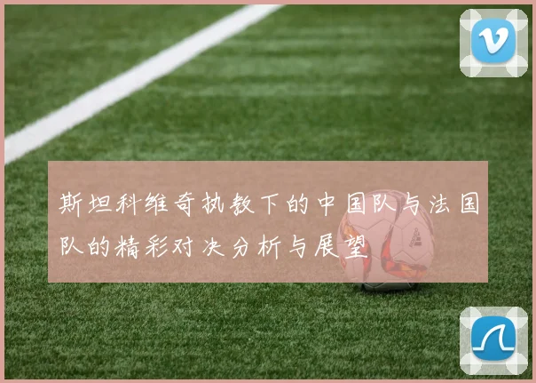 斯坦科维奇执教下的中国队与法国队的精彩对决分析与展望