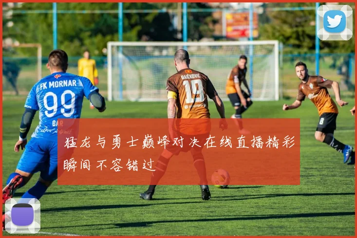 猛龙与勇士巅峰对决在线直播精彩瞬间不容错过